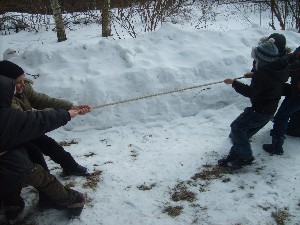 �����������