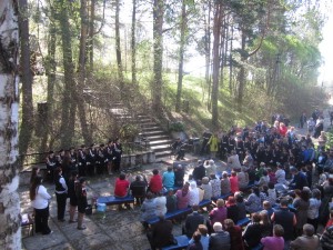 �����������